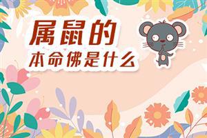 属鼠的本命佛是什么