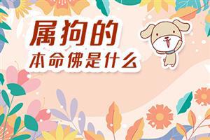 属狗的本命佛是什么