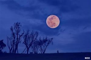 星盤解析：月亮落在十二宮位代表什么意思？