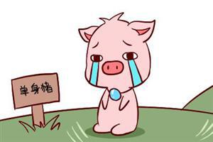 生肖猪和什么属相最配