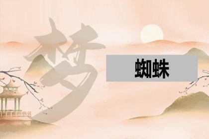 梦见蜘蛛_意思_好不好