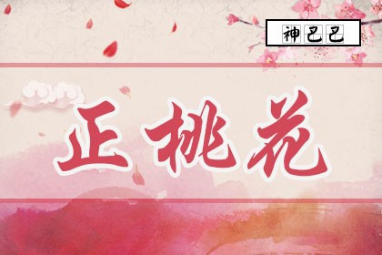 正桃花是什么意思_八字神煞正桃花