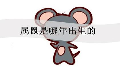 属鼠年份表和年龄 生肖鼠年份对照表 神巴巴星座网